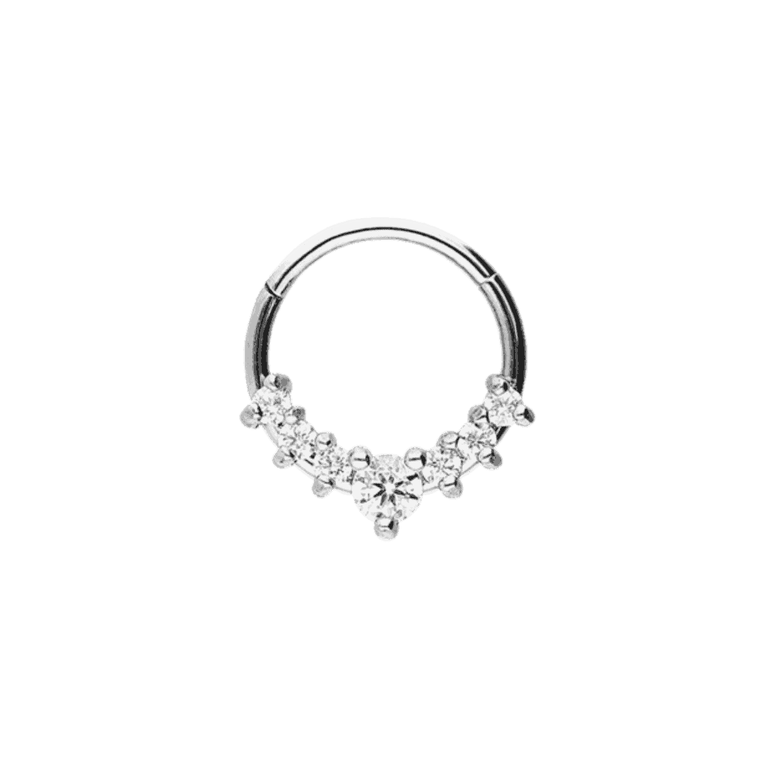 steel color hinged hoop