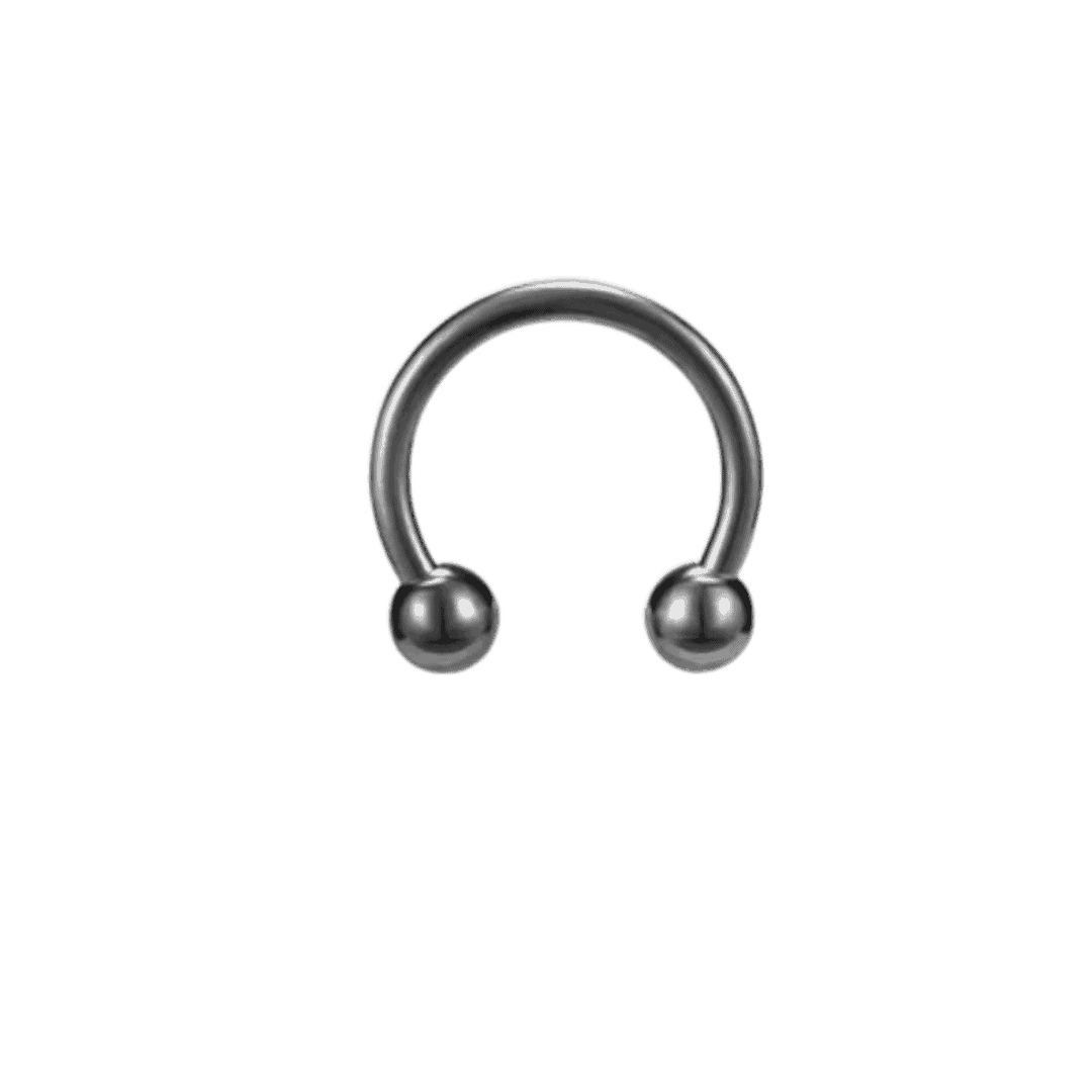 black color stainless steel horse shoe