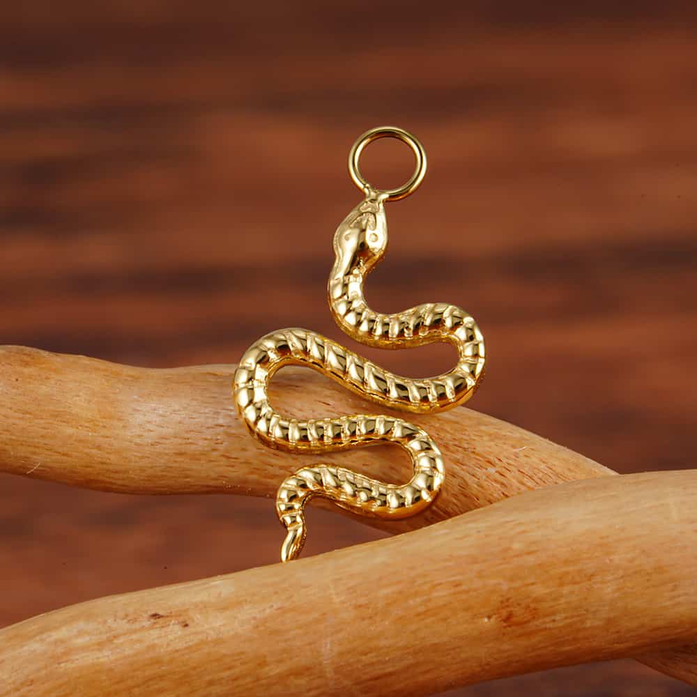 Titanium Snake Charm